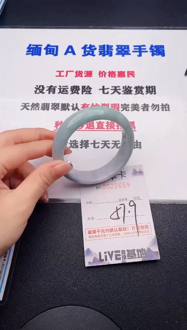 未镶嵌手镯翡翠59