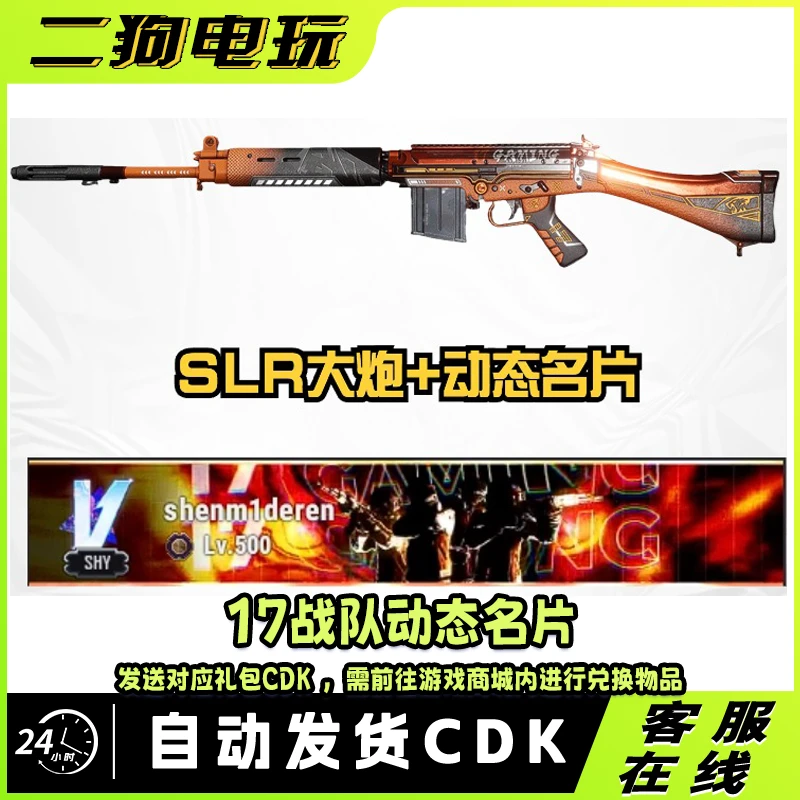 绝地求生PUBG17战队套装17战队SLR动态名片动态名牌