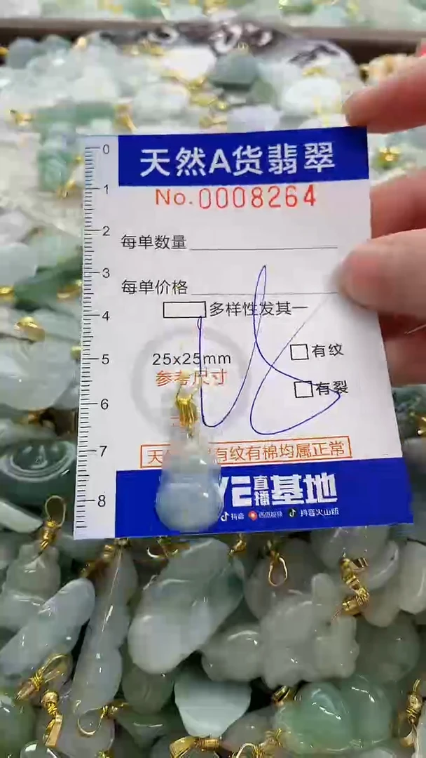 颈饰未镶嵌翡翠纯天然a货翡翠