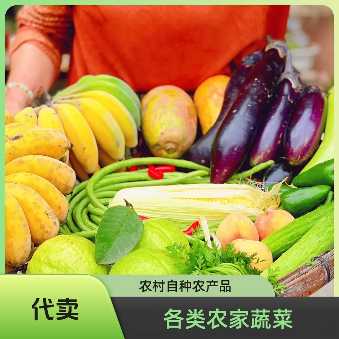 【农家蔬菜顺丰】代卖农村老乡自食各类应季健康蔬菜综合