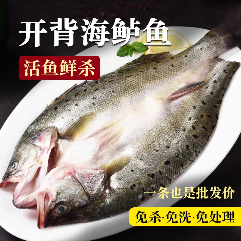 开背海鲈鱼5条新鲜冷冻鲜嫩美味去内脏免处理蒜瓣肉肉质鲜美