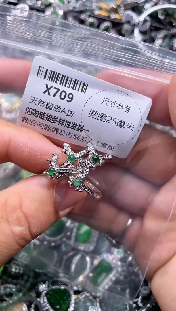 【闪购商品】翡翠颈饰未镶嵌X709戒指 多样性发其二