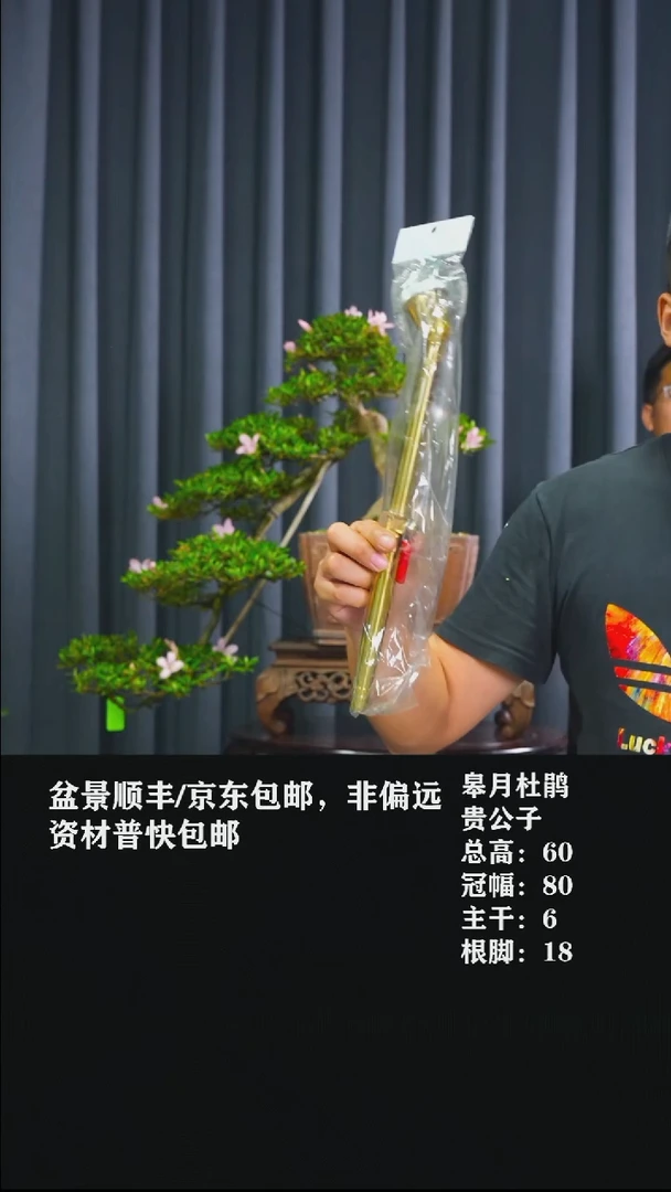 无花朵喜久合2813花洒带阀门短款