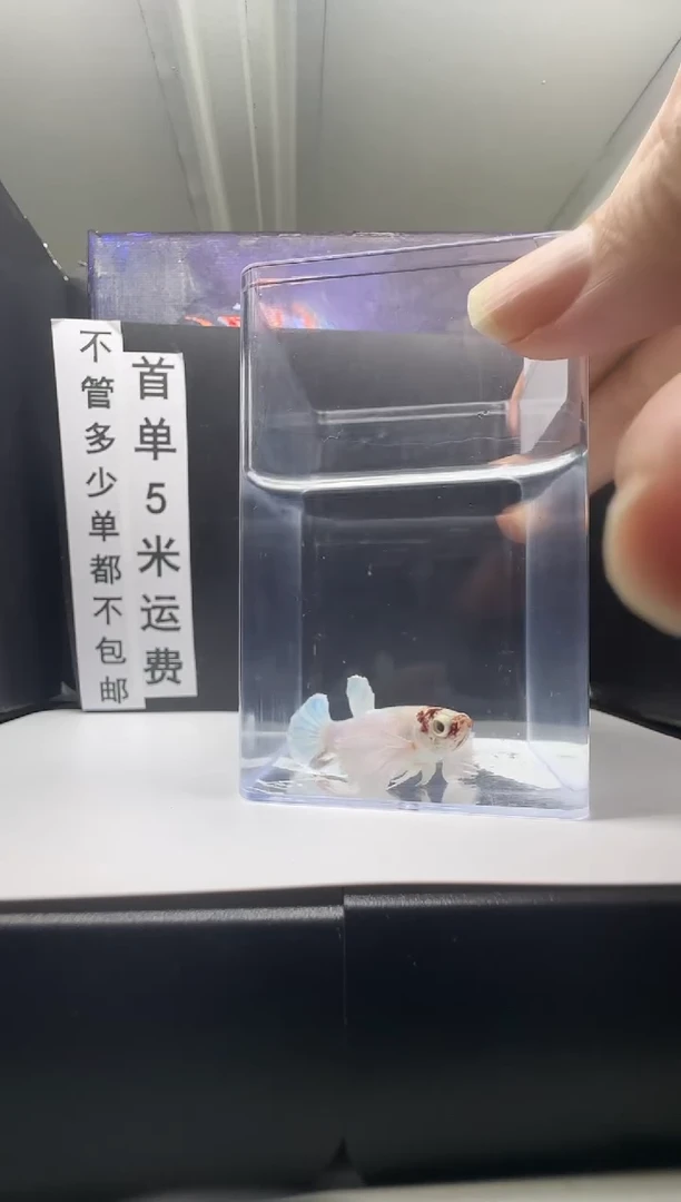 斗鱼母鱼编号：402