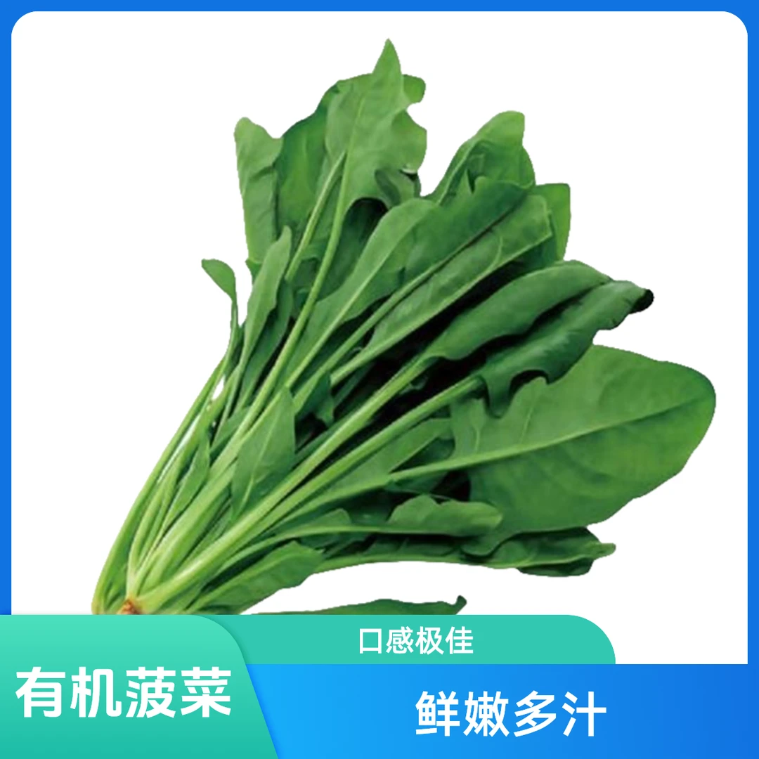京东现摘有机菠菜-三把，约1200g