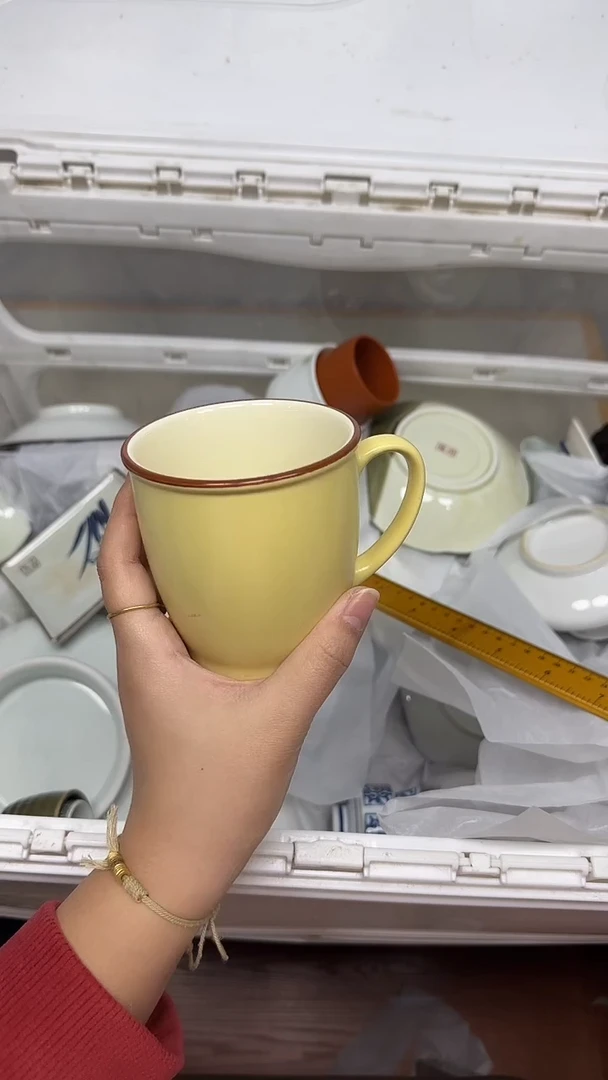 【闪购商品】536回流瓷器默认微瑕，18.8包邮