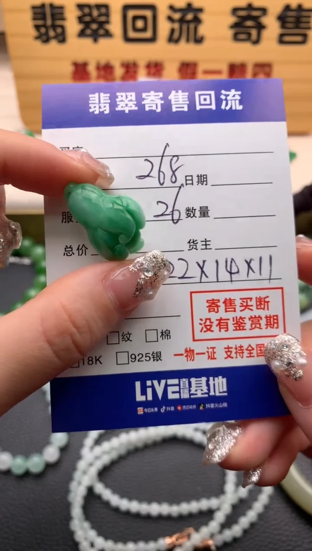 【闪购商品】翡翠颈饰未镶嵌21012799