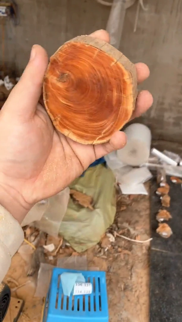 【闪购商品】柏木太行陈化崖柏（津诚林）切片