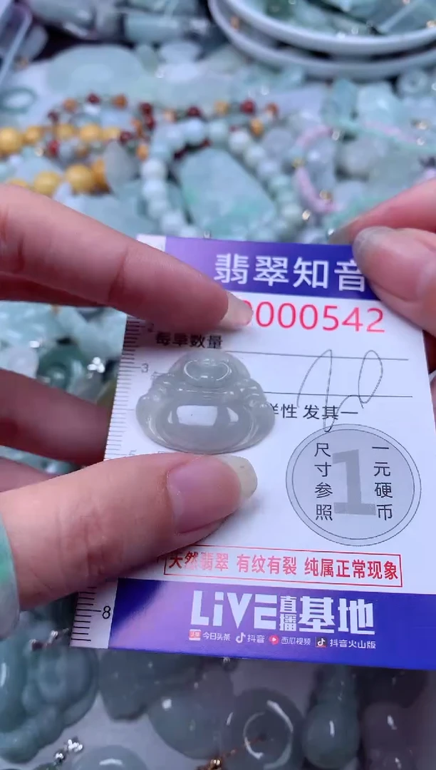 翡翠未镶嵌吊坠(不含链)542