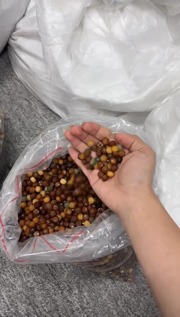 菩提根/象牙果手串6*9散珠100颗（546）