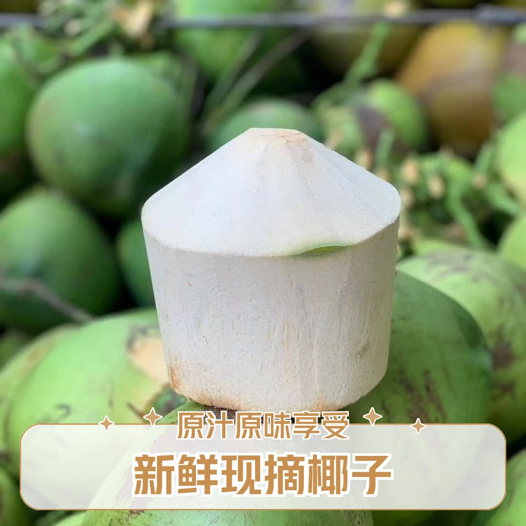 新鲜海南青椰子椰青1500-3000g/个