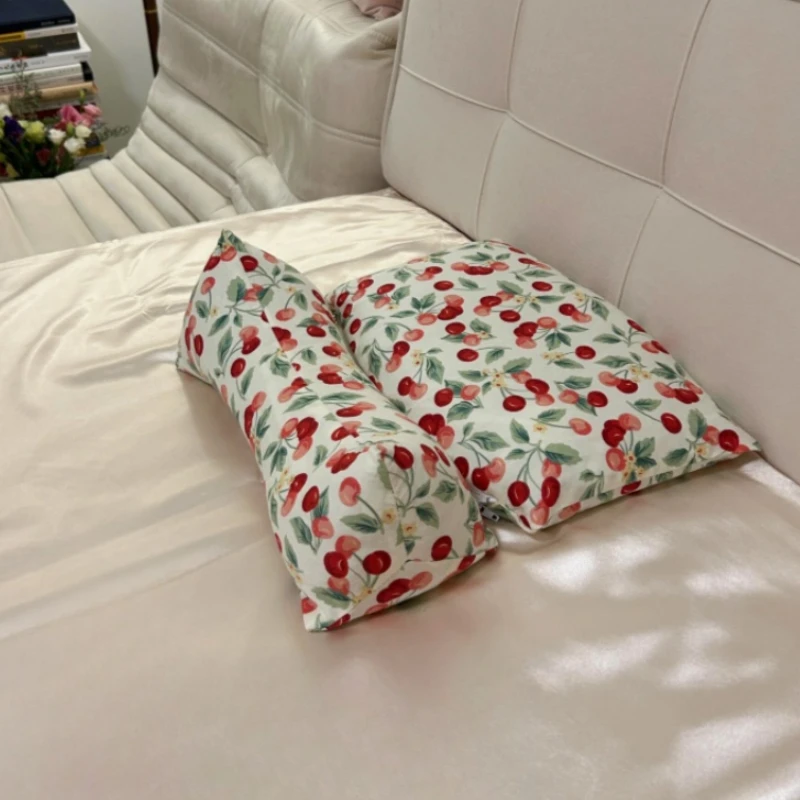 枕头女生睡觉舒适护颈椎助睡眠成人专用夏天三角荞麦枕套装一对装