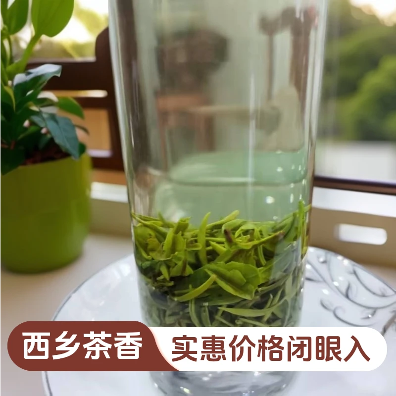 明前春茶西乡特产高山绿茶茶叶浓香型