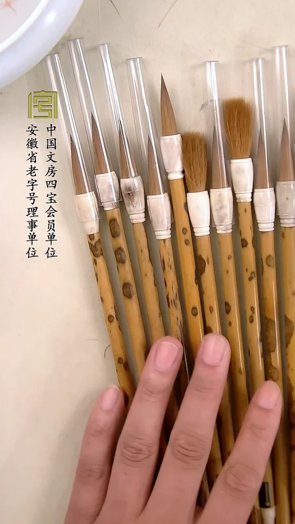 3.0辽尾放漏鹿角斗