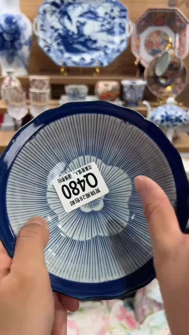 瓷片毛***岩      Q480
