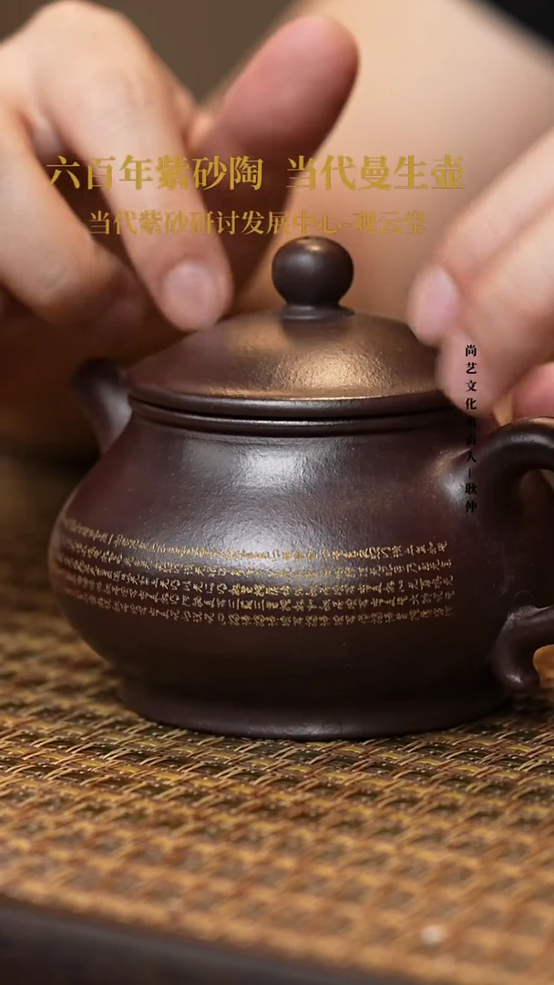 茶壶紫砂紫砂茶壶紫泥 潘壶