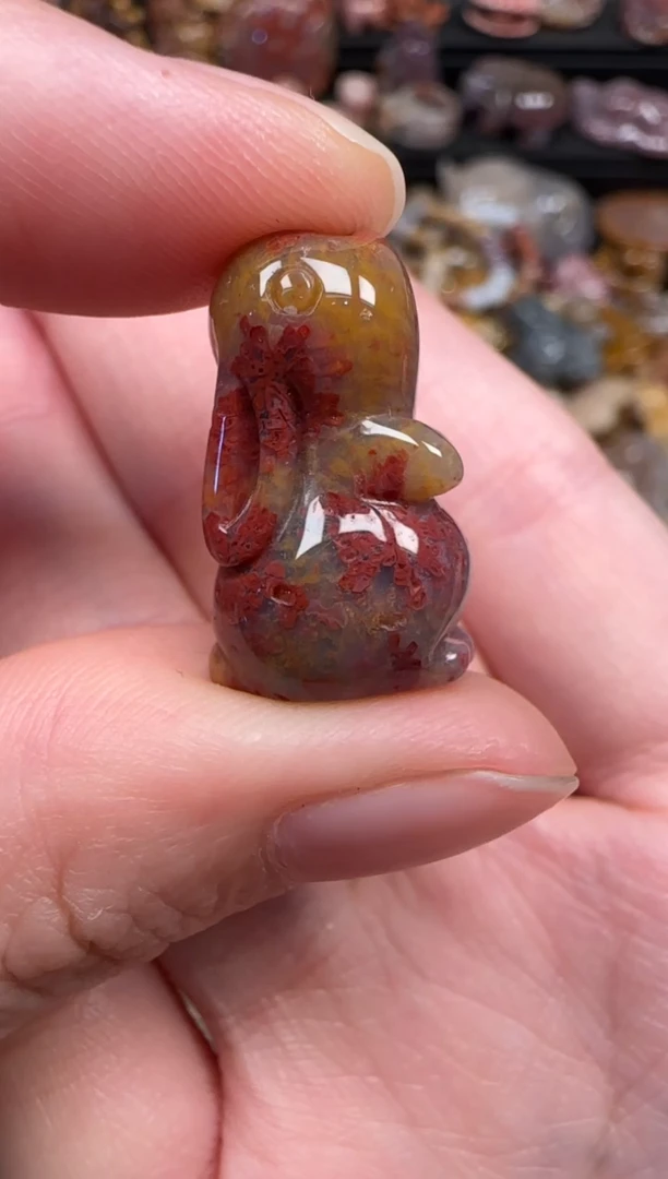 颈饰未镶嵌硅化珊瑚（珊瑚玉）156