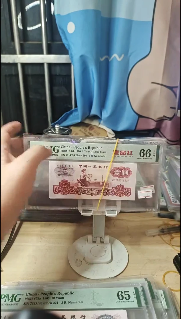 一品红66分无47！！！！