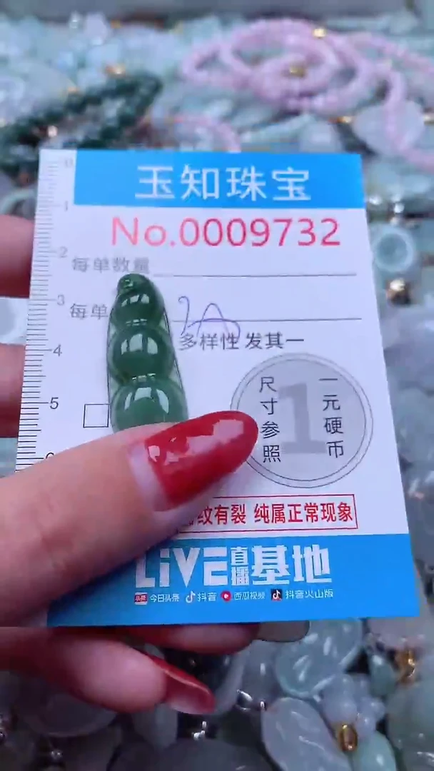 吊坠(不含链)未镶嵌翡翠9732
