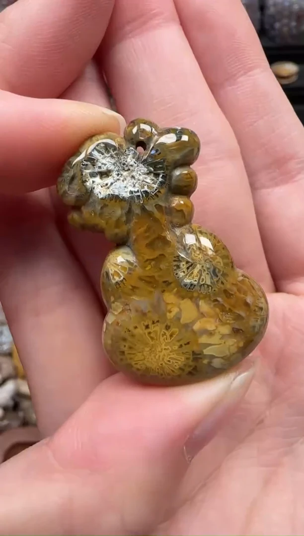 颈饰未镶嵌硅化珊瑚（珊瑚玉）463