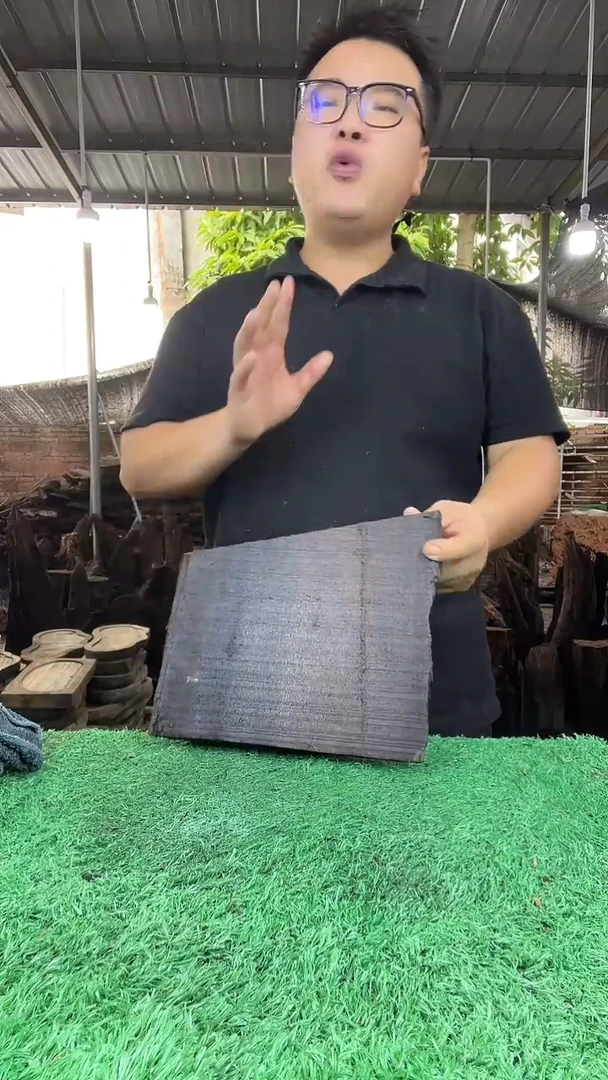 金丝楠小叶桢楠105