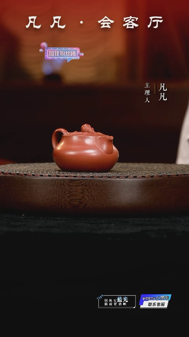 茶壶紫砂凡凡会客厅 紫砂壶26