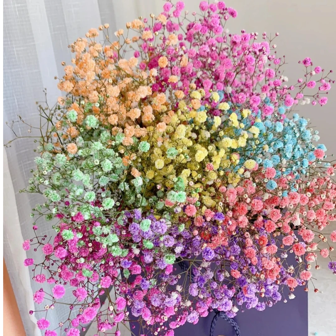 【七礼夫人】满天星专拍链接