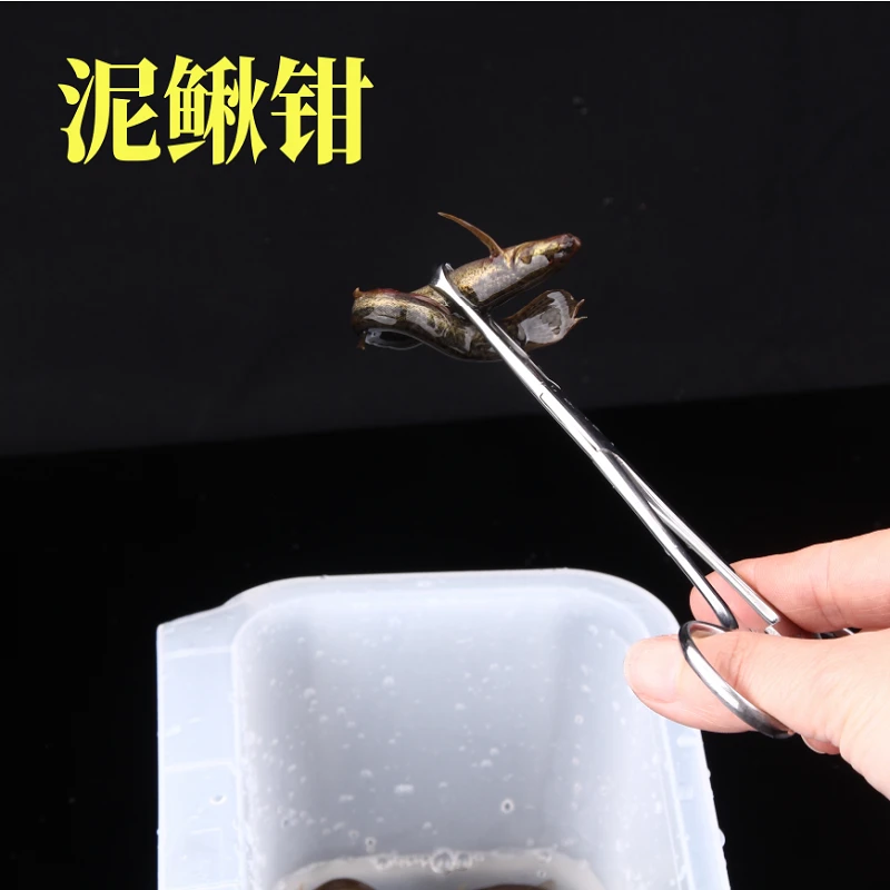千渔筏筏钓泥鳅夹泥鳅钳子翘嘴活饵挂钩钳新款配件商品钓鱼黄鳝钳