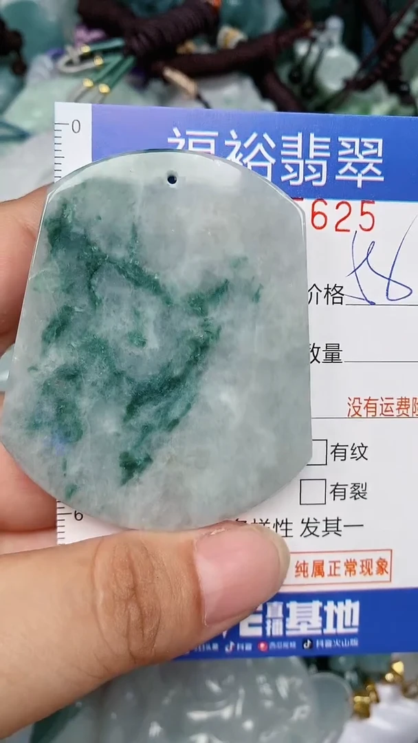 翡翠未镶嵌颈饰...0005625
