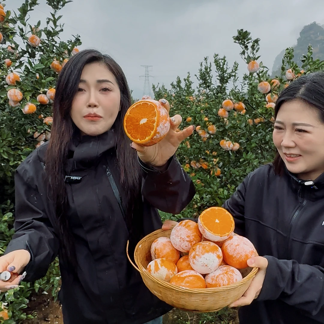 【慧姐专属】广西茂谷柑5斤大果/中果坏果包赔新鲜采摘水果
