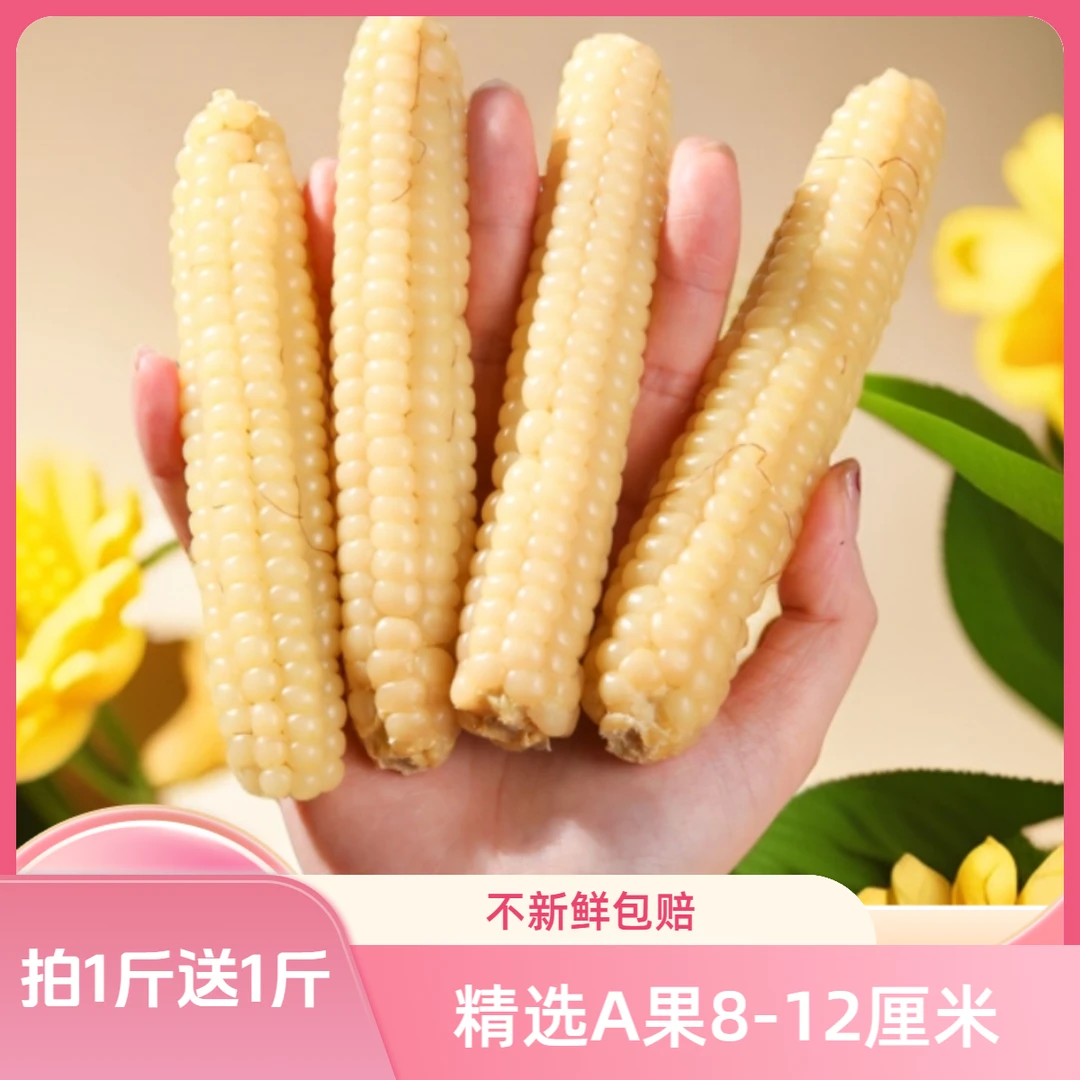 版纳A果香糯拇指小玉米云南儿童手指拇玉米早餐新鲜真空玉米宝宝