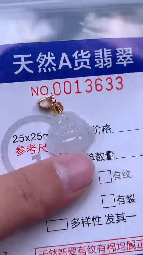 吊坠(赠链)未镶嵌翡翠1