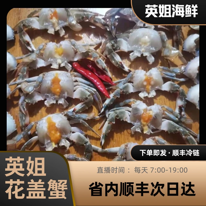 东港小公花盖3斤起仅限沈阳市内五区单只1两左右【保鲜不保活】。