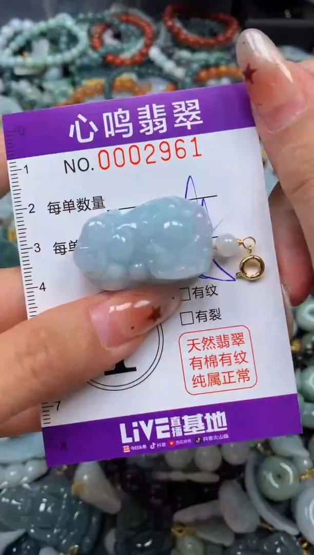 翡翠未镶嵌颈饰闪购002961