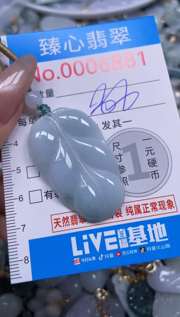 颈饰未镶嵌翡翠6881