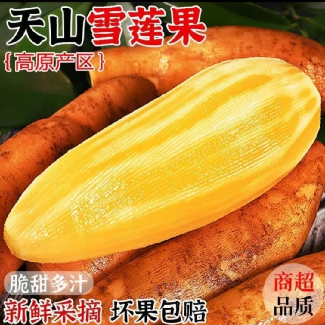 【亏本一万单】云南正宗黄心天山雪莲果现挖新鲜应季水果清甜脆爽