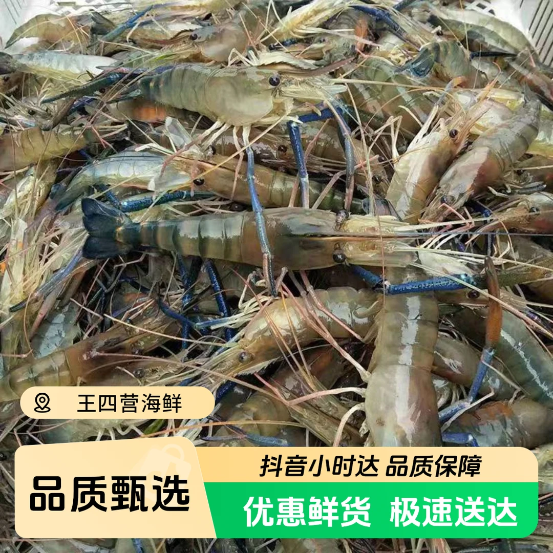 罗氏虾断气（多斤数可选）保鲜不保活，加碎冰发货