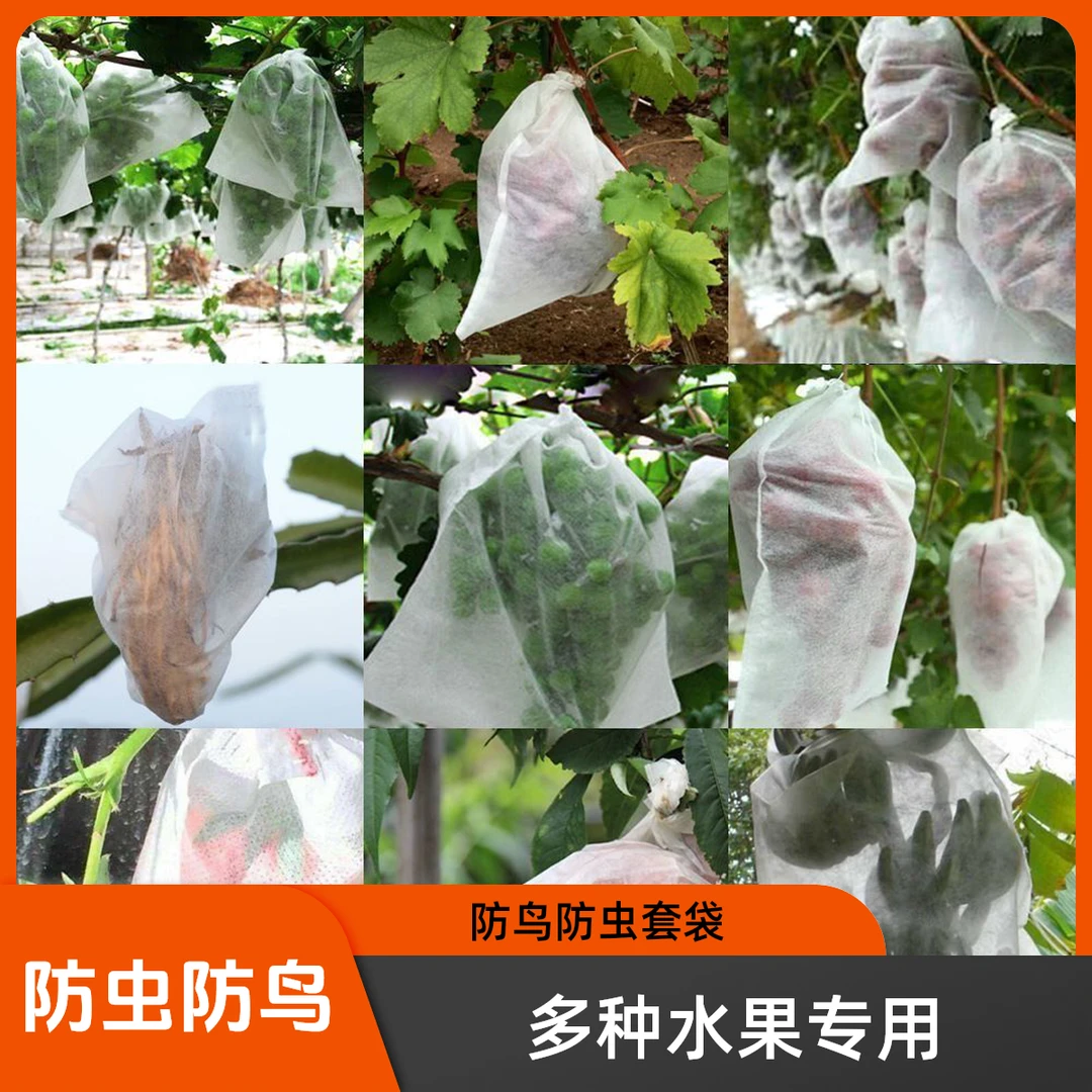 水果套袋防鸟防虫专用尼龙网袋葡萄无花果西瓜番茄草莓桃子西红柿