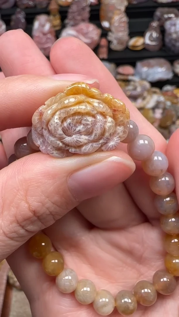 颈饰未镶嵌硅化珊瑚（珊瑚玉）645