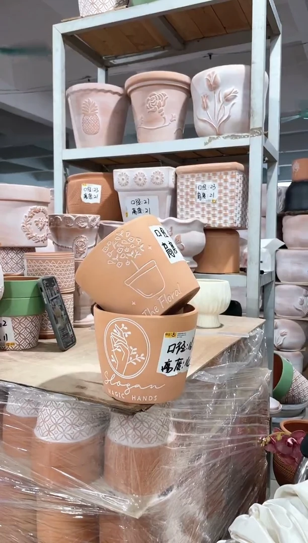 擦白盆花＋手捧橄榄枝口16-14