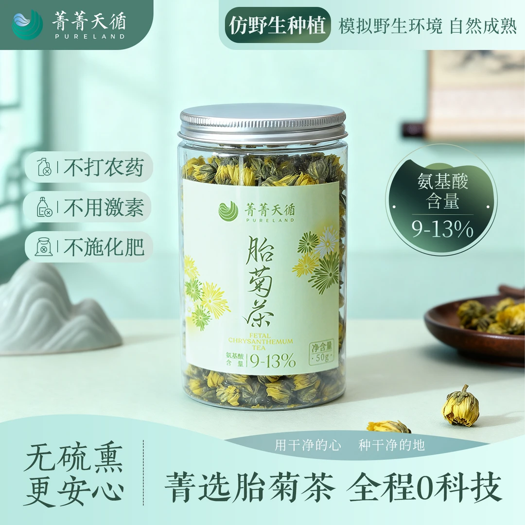 菁菁天循胎菊茶 自有基地仿野生种植 无硫熏0农药0激素0化肥