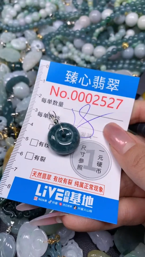 【闪购商品】翡翠颈饰未镶嵌含绳0002527