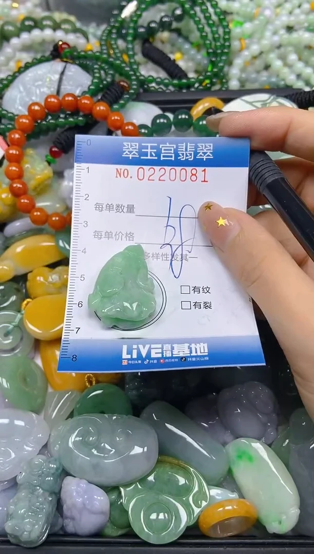 颈饰未镶嵌翡翠闪购C0220081