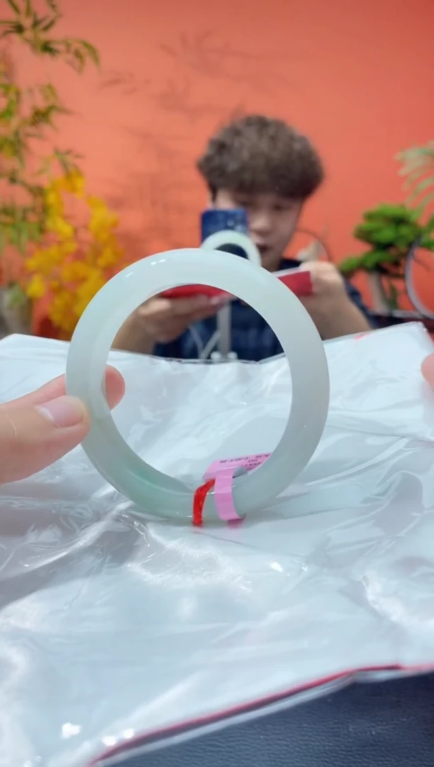 未镶嵌手镯翡翠12