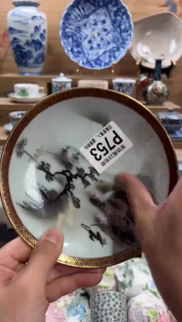 瓷片?****?      P753