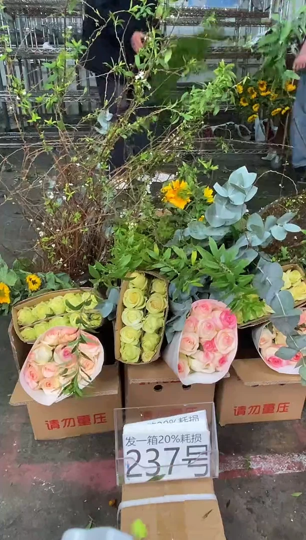 237号♥含20%耗损发一箱