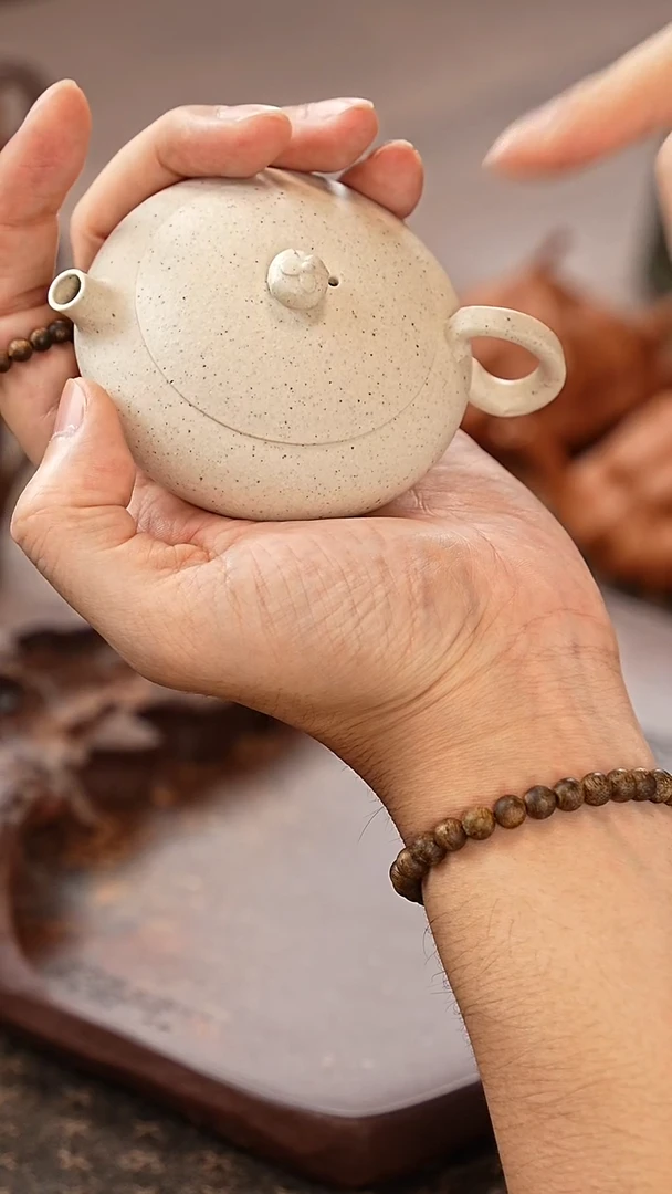 茶壶紫砂梅花西施