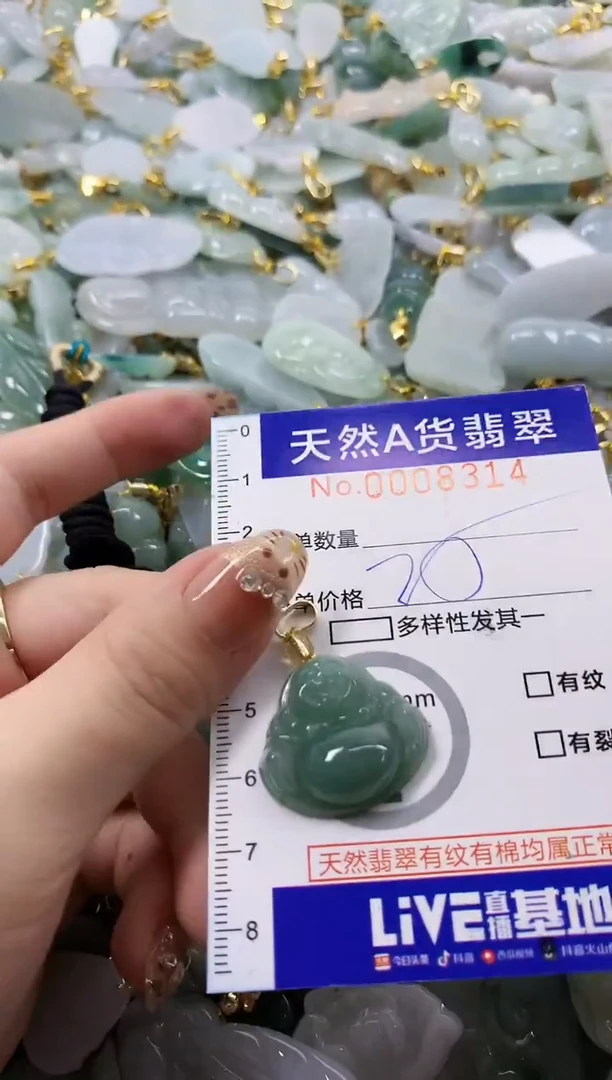 颈饰未镶嵌翡翠天然A货翡翠