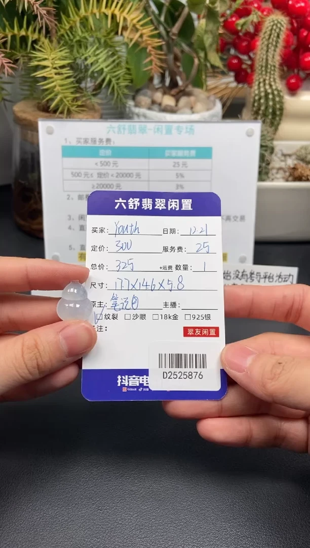 颈饰未镶嵌翡翠Y***hD2525876