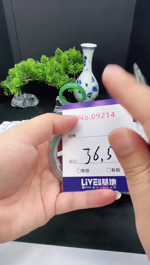 未镶嵌手镯翡翠9214